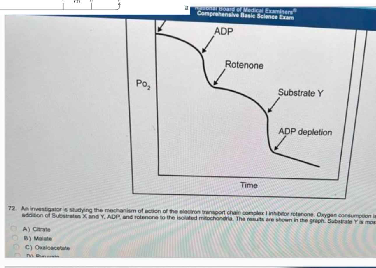 Unlock Success: CBSE NBME Recalls 2025-2026 Package – Your Key to Excellence!