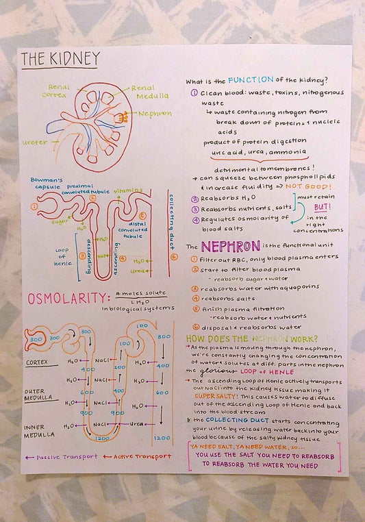Hand -Written Notes of MCAT -System iIlusterations