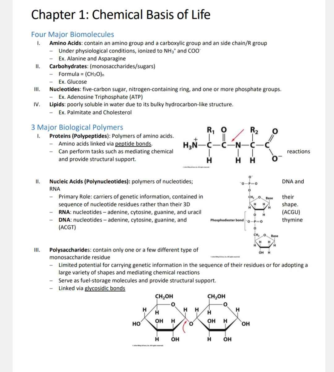 Biochemistry Study Notes - Updated Summary for Quick Learning