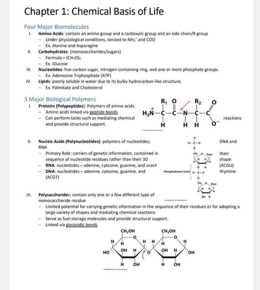 Biochemistry Study Notes - Updated Summary for Quick Learning
