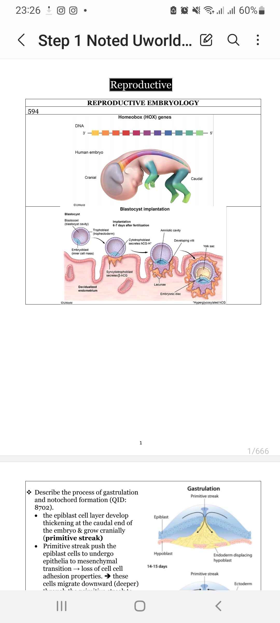 Step-1 Noted Uworld 2023