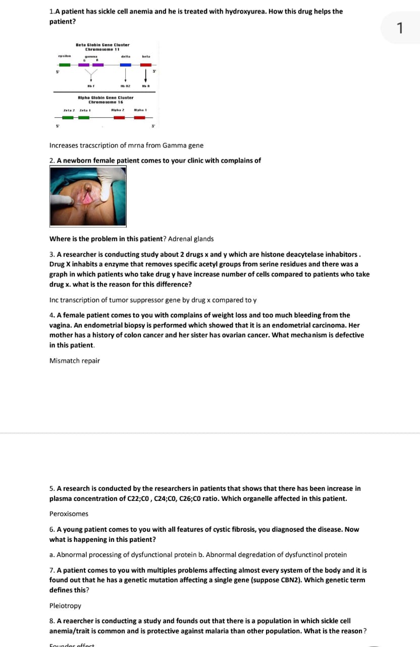 USMLE Step 1 February Recalls / Past Papers / Biopsies 2025-2026 – Latest Solved Questions & Guaranteed 90% Repeat