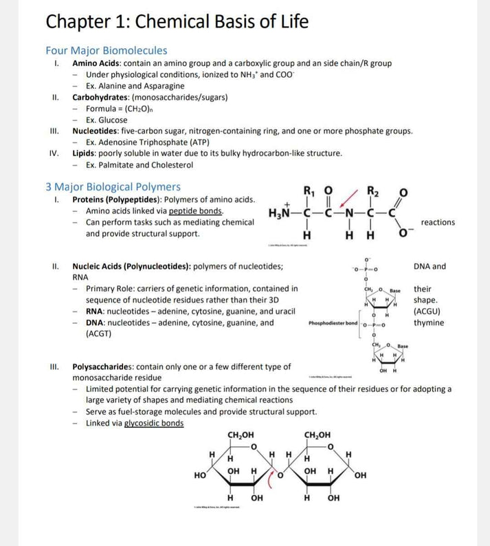 Biochemistry Study Notes - Updated Summary for Quick Learning Guide ...
