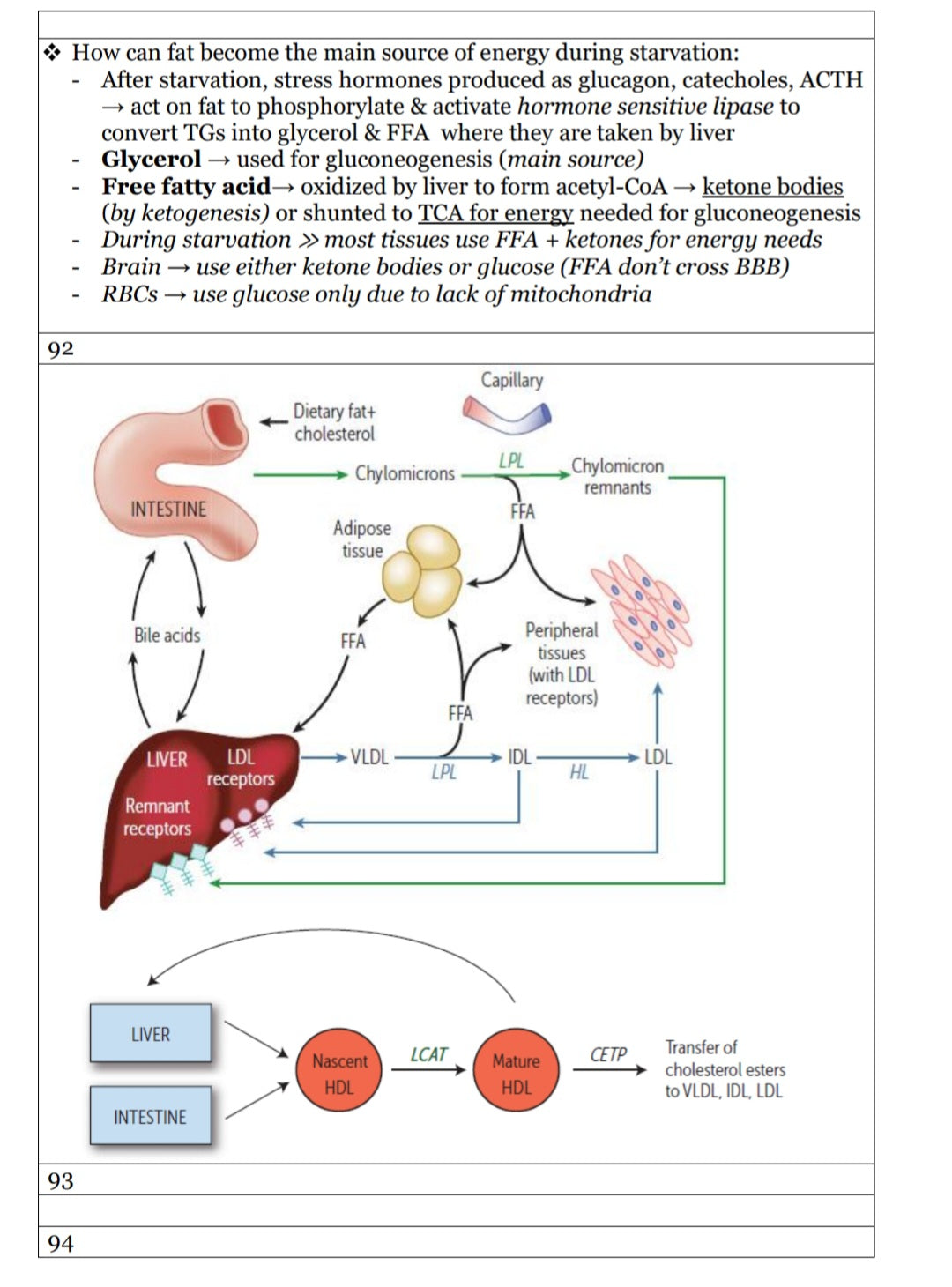 MCAT Uworld Noted Biochemistry Notes